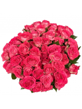 Smuliažiedės rožės Sweet Julia 60 cm