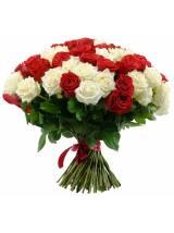 Raudonų / baltų rožių puokštė 51 vnt - 60 cm