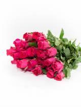 Rožės Pink Rodas 80 cm
