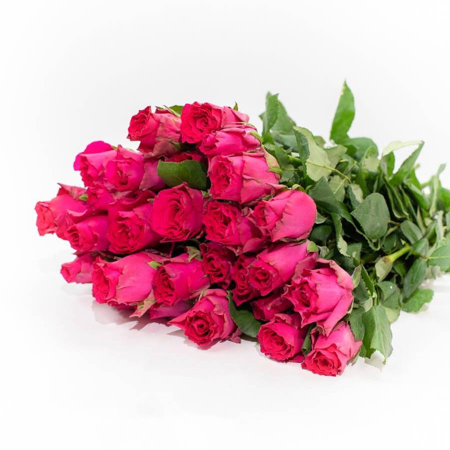 Rožės Pink Rodas 80 cm