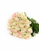 Rožės Sweet Jumilia 70 cm