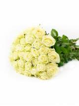 Rožės White Naomi 40 cm