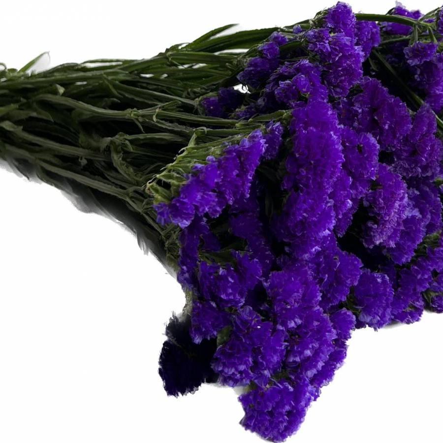 Violetinis limoniumas