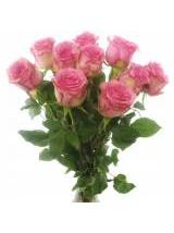 R Gr Pink Shadow-50